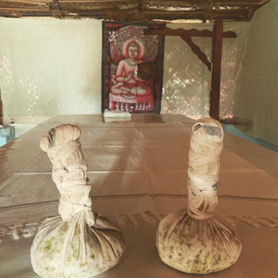Green Garden Ayurvedic Resort & Green House Varkala Zewnętrze zdjęcie