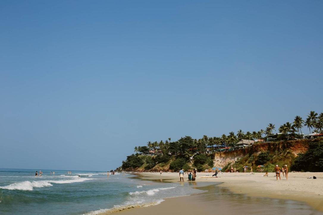 Green Garden Ayurvedic Resort & Green House Varkala Zewnętrze zdjęcie